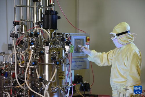 沈陽 培育醫(yī)藥及醫(yī)療裝備產(chǎn)業(yè) 激活振興發(fā)展新動能